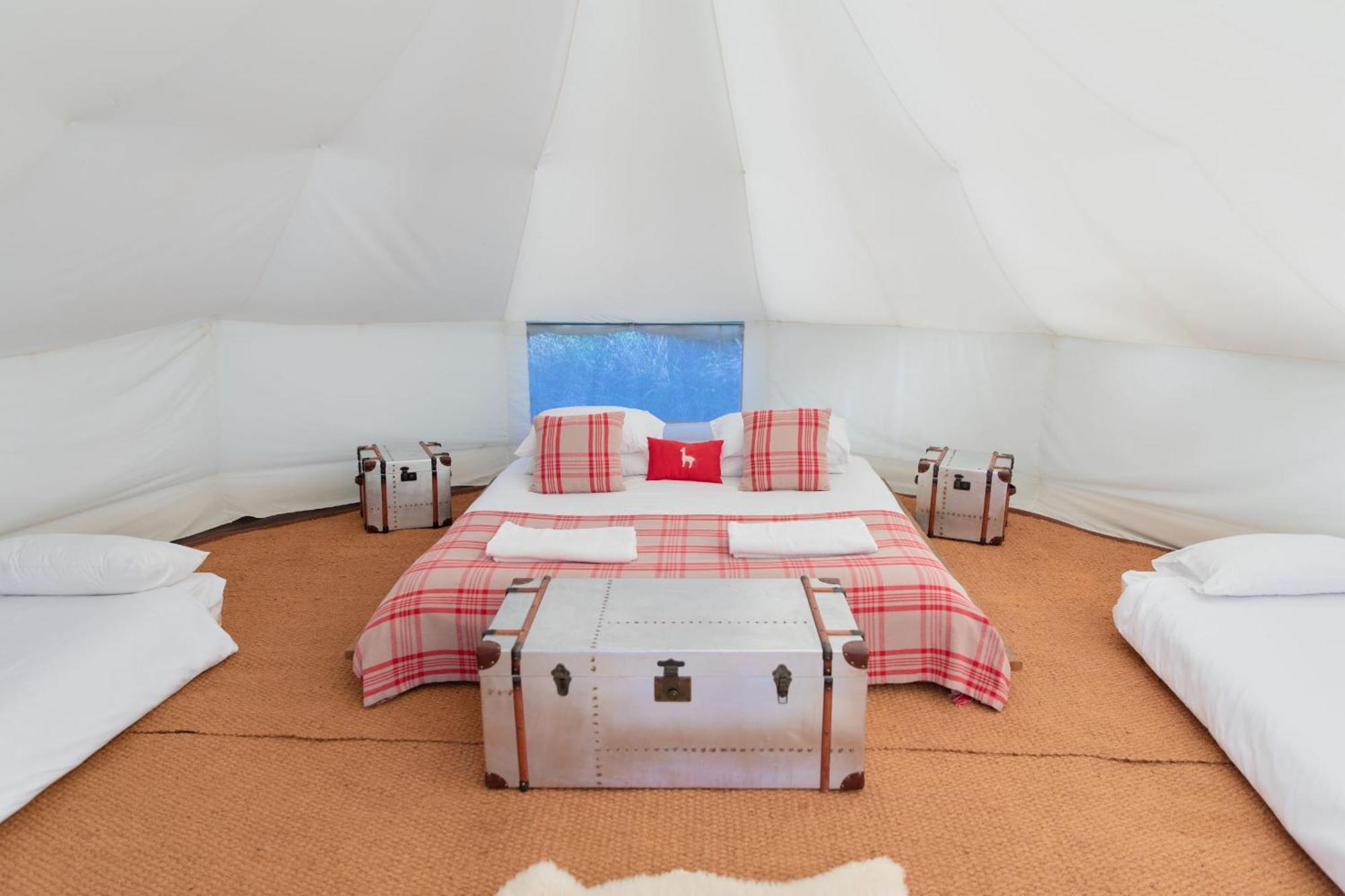 Horsley Hale Farm Glamping Hotel อีลี ห้อง รูปภาพ