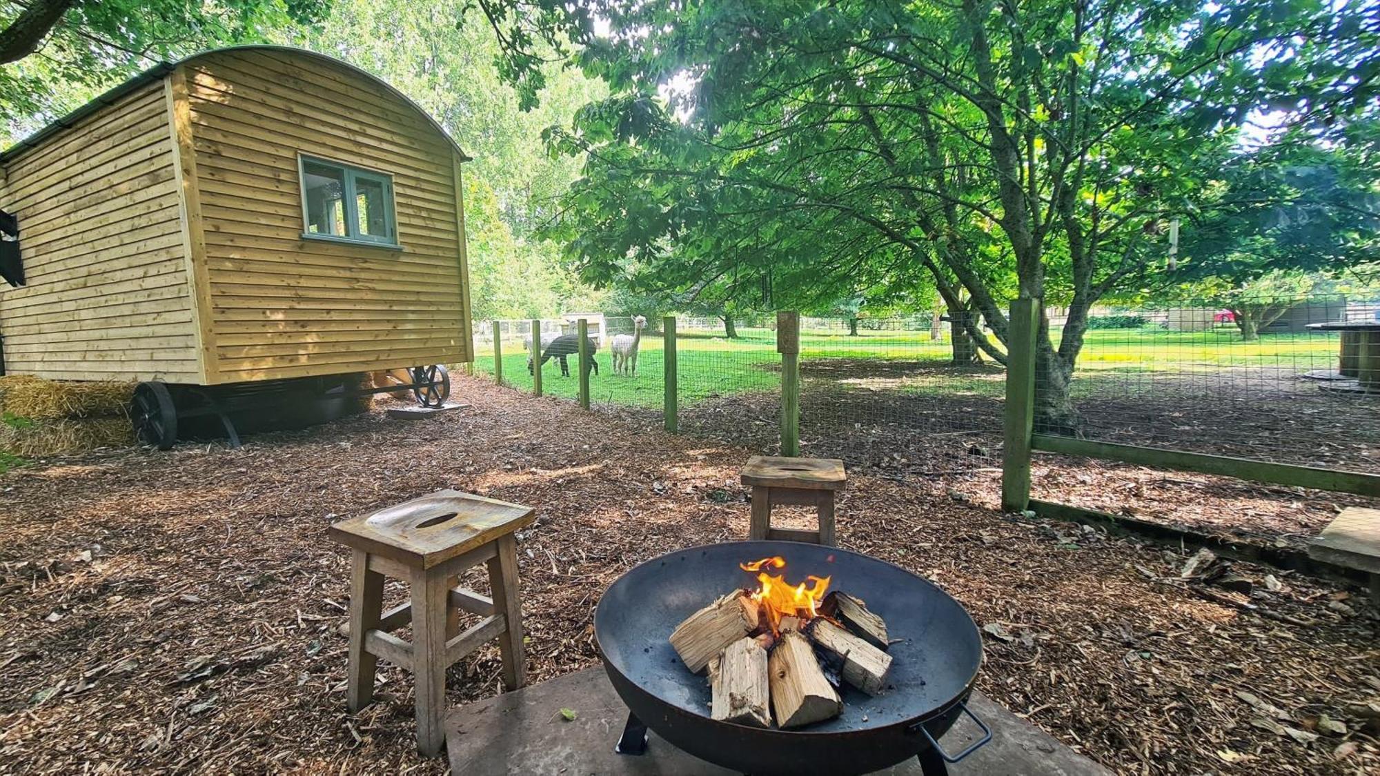 Horsley Hale Farm Glamping Hotel อีลี ห้อง รูปภาพ